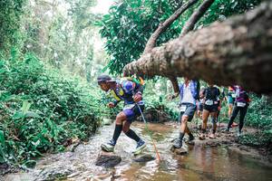 BIB: 
                            <button type="button" onclick="openModal(25375191)" class="btn btn-primary btn-sm float-right btn-popup" data-toggle="modal" data-target=".modal-high-quality">
                        <i class="fas fa-shopping-cart"></i> Add to Cart
                    </button>
                                            <button type="button" onclick="isThisMe(25375191, true)" class="btn btn-success btn-sm float-right btn-popup btn-isme hidden" data-toggle="tooltip" data-placement="bottom" title="นี่คือรูปของคุณใช่ไหม คลิกที่นี่เพื่อเอาเข้าอัลบั้ม">
                        <i class="fas fa-plus"></i> Add to album
                    </button>
                    <button type="button" onclick="isThisMe(25375191, false)" class="btn btn-warning btn-sm float-right btn-popup btn-isnotme hidden">
                        <i class="fas fa-ban"></i> Remove from album
                    </button>